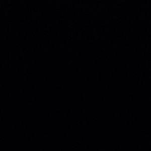 Meet your Posher, Bianca